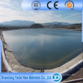 Trazador de líneas caliente de la geomembrana del HDPE del estanque de peces del precio bajo (ASTM)